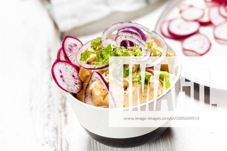 Obatzda with red onion, radish and spring onion SBDF03696