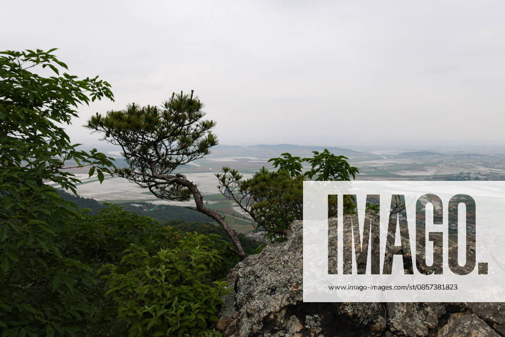 A view from Mount Ryonggaksan (Dragon Mountain). Stanislav Varivoda TASS 92923577