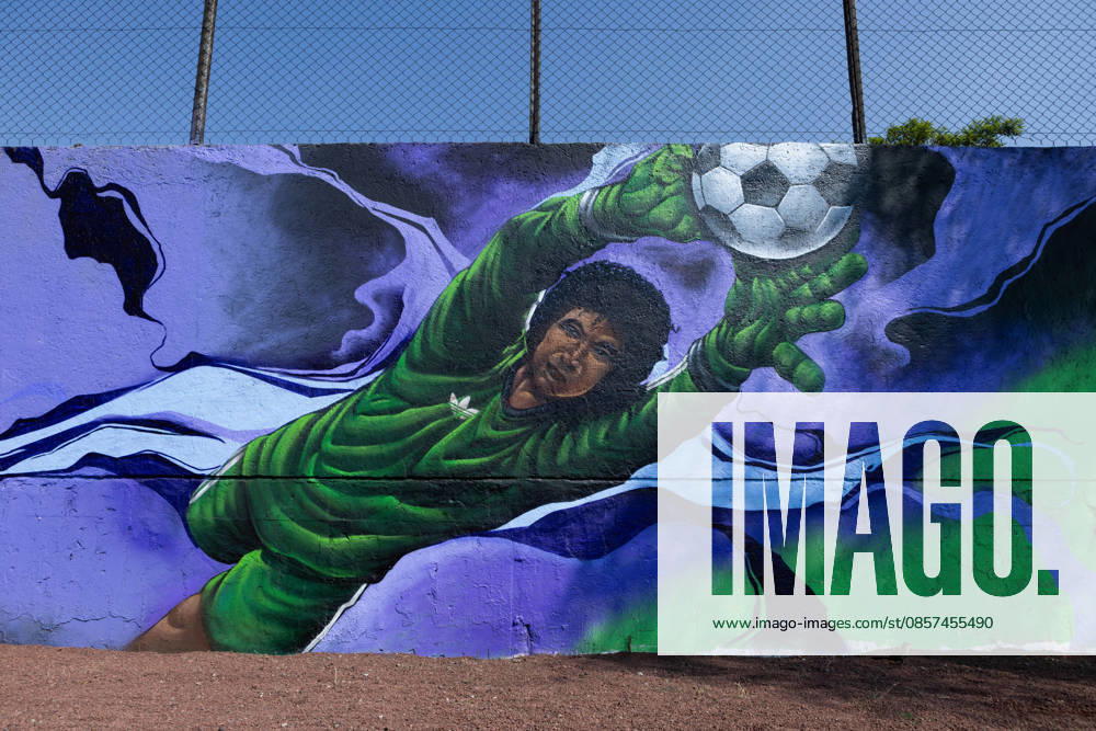 The mural Futbol, recognized as the Guinness World Record largest hand painted brush football mural, was inaugurated in the Martin Carrera neighborhood of Mexico City. Created by Mexican artists, the artwork connects the Mesoamerican ballgame with contemporary football ahead of the 2026 FIFA World Cup. Former soccer players CUAUHTEMOC BLANCO, FRANCISCO KIKIN FONSECA, GERMAN VILLA and ANGEL REYNA attended the event, along with authorities from the Gustavo A. Madero borough and representatives of the Libertad Creativa Intercultural y Objetiva Foundation and the Elena Poniatowska Amor Foundation Mexico City Mexico - ZUMAl178 20260524_znp_l178_024