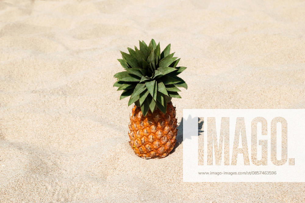 Eine Ananas am weißen Sandstrand an einem sonnigen Tag, mit Platz für Text. Pineapple on the white sand beach on a sunny day, with copy space. (License=RF)