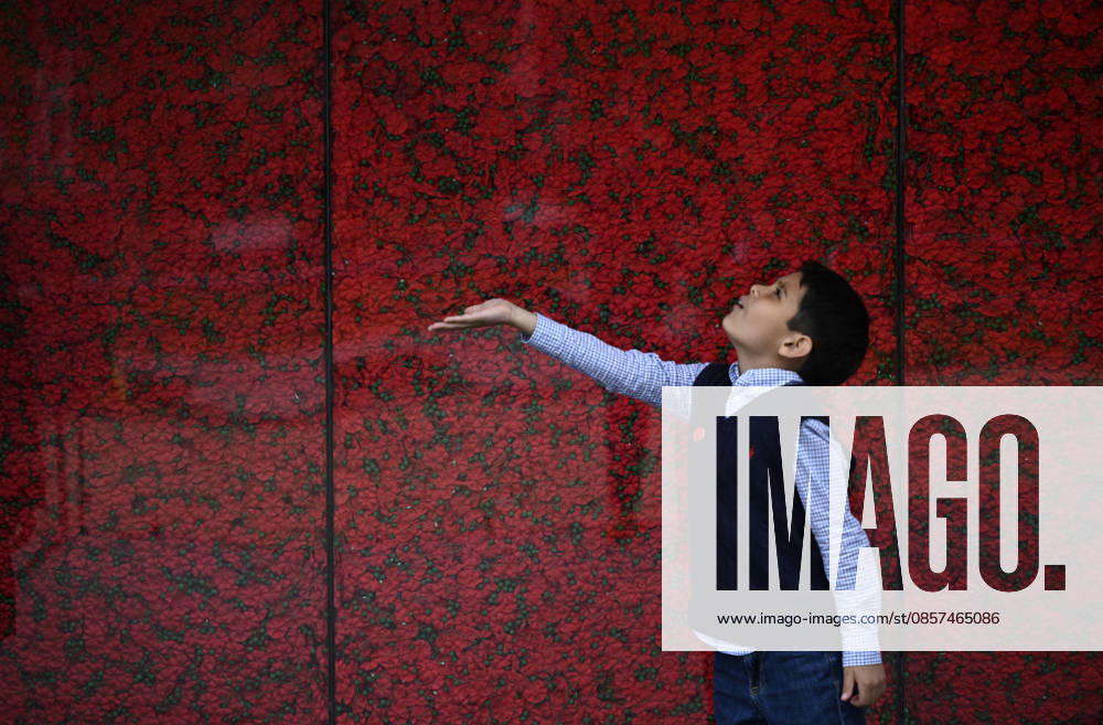 Poppy Wall honors service members with 600,000 poppies in Washington, DC A Memorial Day installation displays 600,000 poppies, each symbolizing a US service member killed in combat since World War One, on May 24, 206 in Washington, DC. Photo by Olivier Douliery ABACAPRESS.COM Washington DC United States