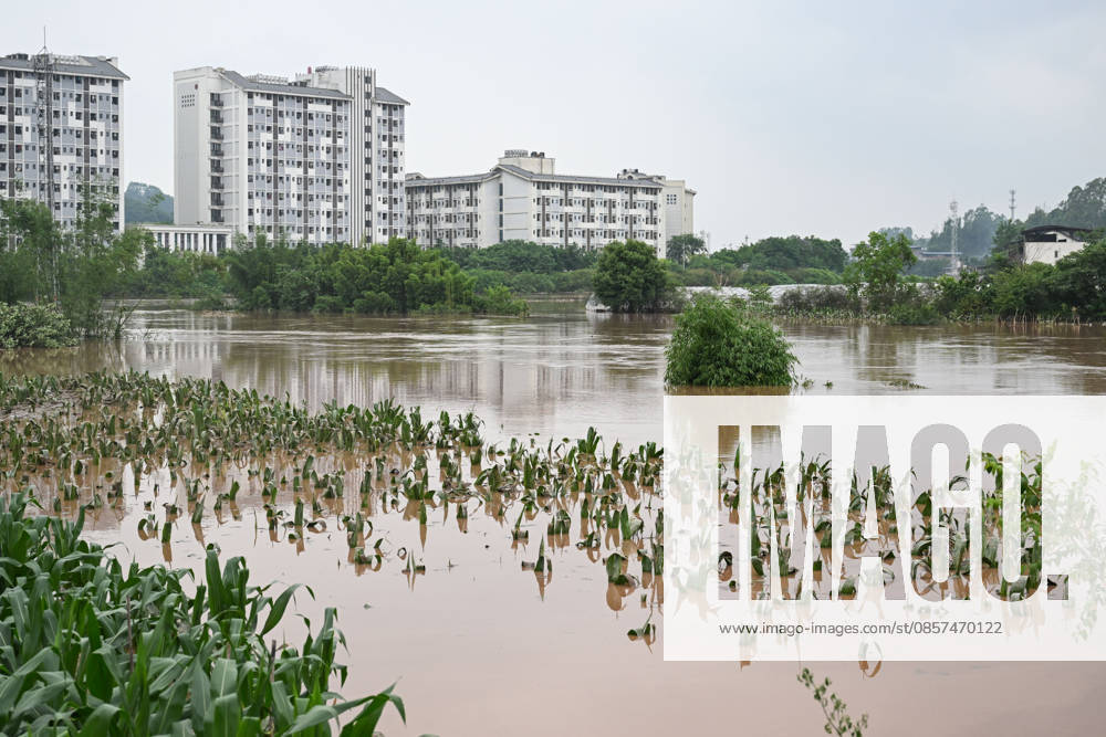 Crops are submerged after extreme rainfalls trigger flash floods and geological disasters on May 24, 2026 in Yongchuan District, Chongqing City, China. Devastating rainstorms struck parts of Southwest China s Chongqing over the weekend, resulting in multiple casualties and missing people in the municipality s Yongchuan and Beibei districts. Rescue efforts are ongoing. As of 2:30 pm on May 24, local authorities reported three deaths and 17 people missing in Yongchuan, with another two people missing in Beibei.
