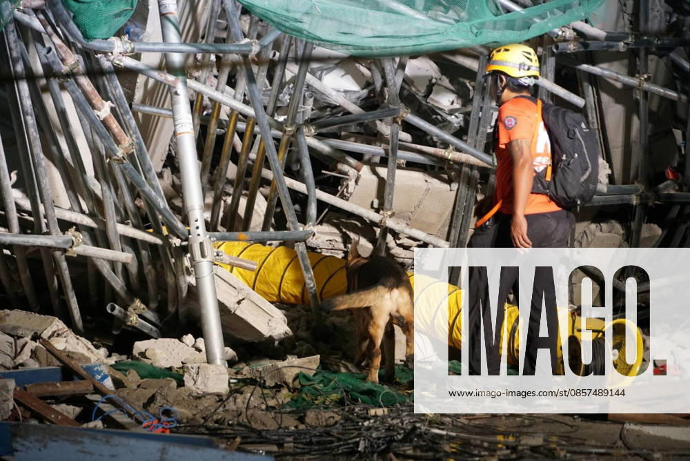 (260525) -- MANILA, May 25, 2026 -- A rescuer searches for survivors with a search and rescue dog at the site of a collapsed building in Angeles City, Pampanga province, the Philippines, May 24, 2026. Four people were confirmed dead after a building collapsed before dawn Sunday in Angeles City in northern Philippines Pampanga province, as search and rescue operations continue for 17 missing people, authorities said Monday. ( Handout via Xinhua) (SpotNews) PHILIPPINES-PAMPANGA-ANGELES-BUILDING COLLAPSE BureauxofxFirexProtectionxCentralxLuzon