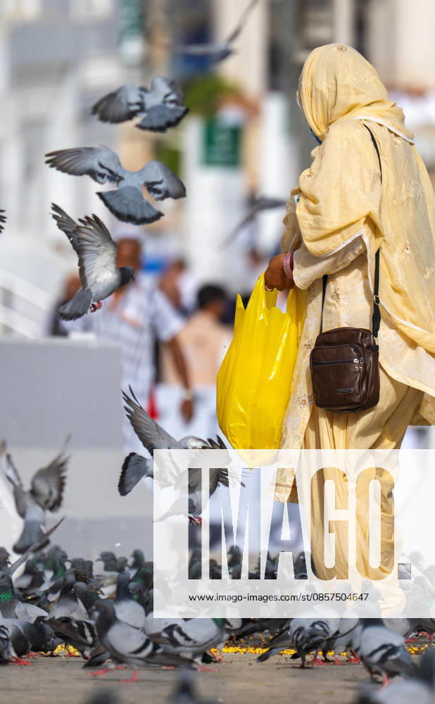 Muslim pilgrims gather in Mina, near Mecca, to spend the Day of Tarwiyah, the first day of the annual Hajj pilgrimage, in Saudi Arabia Muslim pilgrims gather in Mina, near Mecca, to spend the Day of Tarwiyah, the first day of the annual Hajj pilgrimage, in Saudi Arabia, on May 25, 2026. Millions of Muslims from around the world travel to Saudi Arabia to perform the annual Hajj pilgrimage. Photo by Saudi Press Agency apaimages Saudi Arabia 250526_Saudi_Arabia_SPA_01(5)
