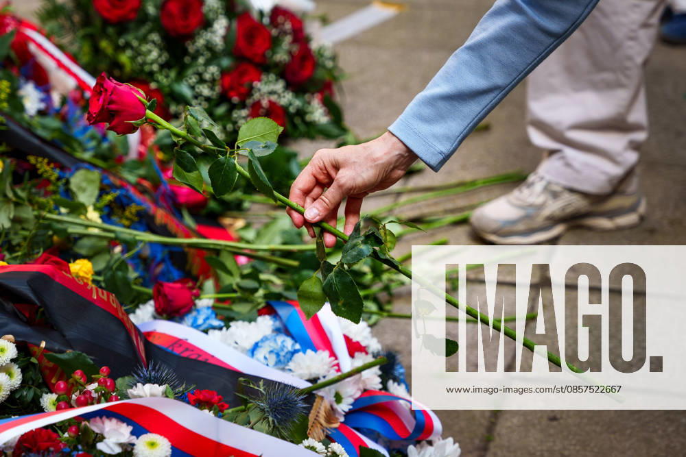 A woman si laying the red rose at the Memorial Plaque to the Anti-Fascist Fighters during a commemorative ceremony honoring the victims of Nazism in Brno, Czech Republic, on May 25, 2026. The 76th Congress of Sudeten Germans took place in Brno, Czech Republic, from May 22 to 25, 2026, marking the first time the event was held in the country.during a commemorative ceremony honoring the victims of Nazism in Brno, Czech Republic, on May 25, 2026. The 76th Congress of Sudeten Germans took place in Brno, Czech Republic, from May 22 to 25, 2026, marking the first time the event was held in the country. Brno Czech Republic - ZUMAc315 20260525_zsp_c315_008