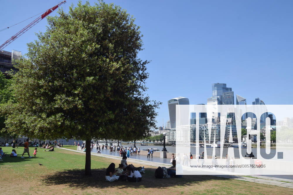 People shelter from the scorching sun under a tree in Potters Fields Park next to Tower Bridge with a view of the City of London skyline as temperatures soar in the capital. The UK recorded its hottest ever day in May yesterday. London United Kingdom - ZUMAv130 20260526_zip_v130_009