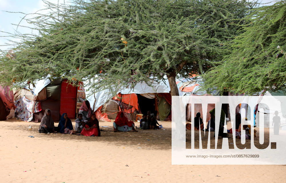 Camps turn into permanent settlements amid ongoing crisis in Somalia MOGADISHU, SOMALIA - MAY 26: People spend time in the shadow of a tree as millions of people living in camps that have gradually turned into permanent settlements, where they continue to face difficult living conditions amid insecurity, conflict and drought in the capital Mogadishu, Somalia, on May 26, 2026. Metin Yuksel Kaya Anadolu Mogadishu Somalia. Editorial use only. Please get in touch for any other usage.