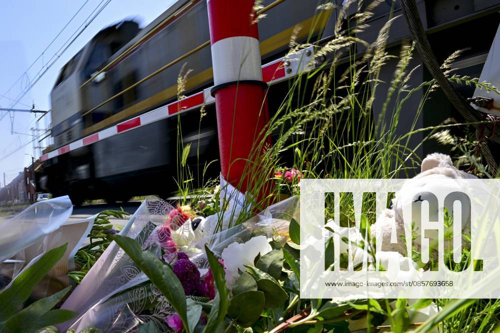 People mourn and lay flowers at the spot of Tuesday s tragic train accident in Buggenhout, on Wednesday 27 May 2026. The accident happened around 8:15 am. Four people have been killed, the driver, two children and their supervisor. According to initial reports, the level crossing was closed at the time of the accident. DIRKxWAEM 175162147