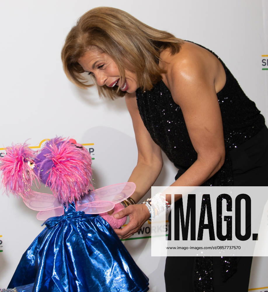 2026 Sesame Workshop Benefit Gala Featuring: Hoda Kotb Where: New York, New York, United States When: 28 May 2026 Credit: Janet Mayer INSTARimages.com . NOT FOR USE BY NEWSPAPERS BASED IN THE UK.