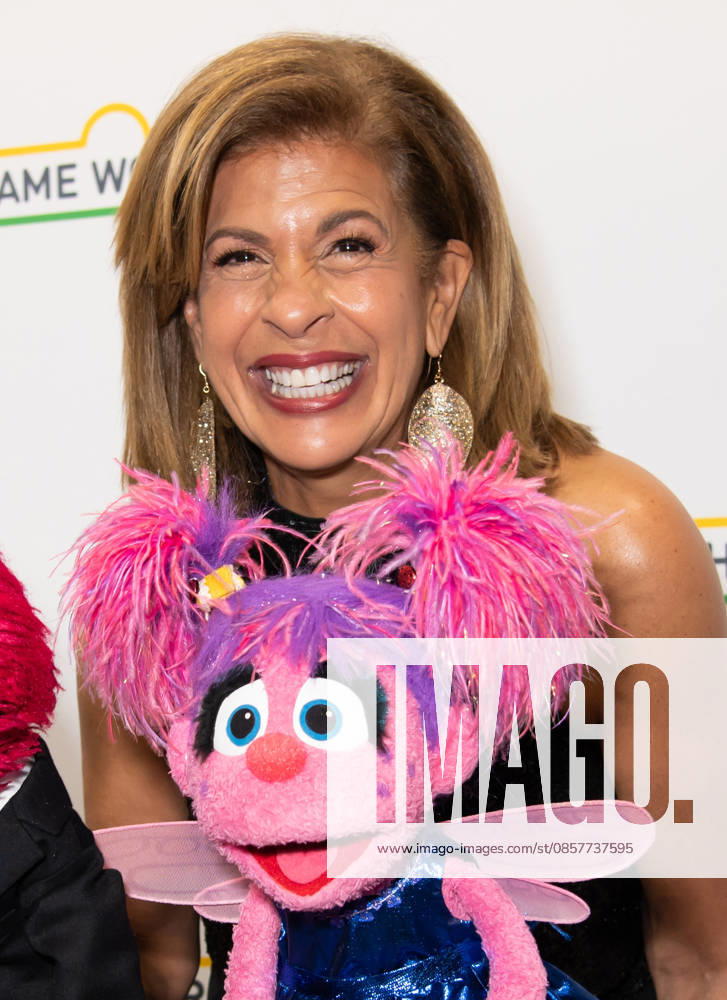 2026 Sesame Workshop Benefit Gala Featuring: Hoda Kotb Where: New York, New York, United States When: 28 May 2026 Credit: Janet Mayer INSTARimages.com . NOT FOR USE BY NEWSPAPERS BASED IN THE UK.