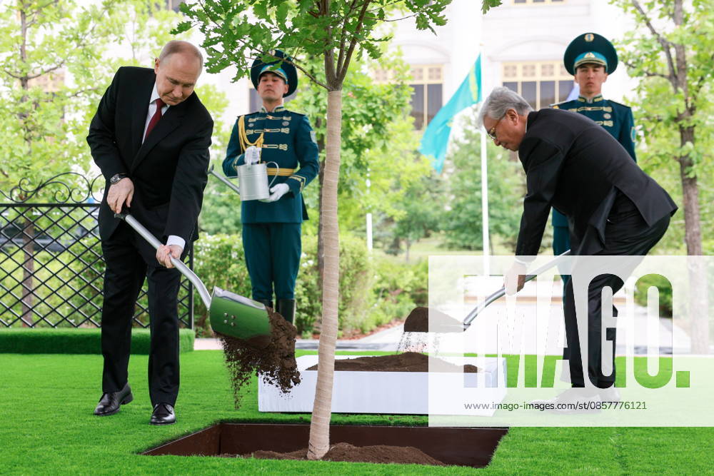 KAZAKHSTAN, ASTANA - MAY 28, 2026: Russia s President Vladimir Putin (L) and Kazakhstan s President Kassym-Jomart Tokayev (R) take part in a tree-planting ceremony on the Alley of Eternal Friendship between Russia and Kazakhstan. Alexander Shcherbak TASS 93129416