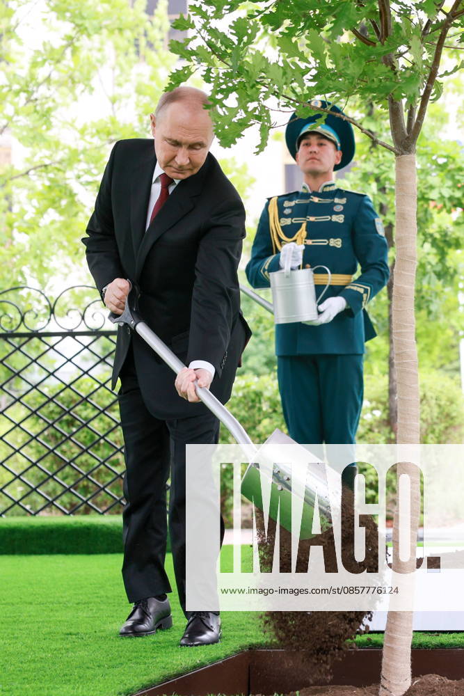 KAZAKHSTAN, ASTANA - MAY 28, 2026: Russia s President Vladimir Putin takes part in a tree-planting ceremony on the Alley of Eternal Friendship between Russia and Kazakhstan. Alexander Shcherbak TASS 93130276