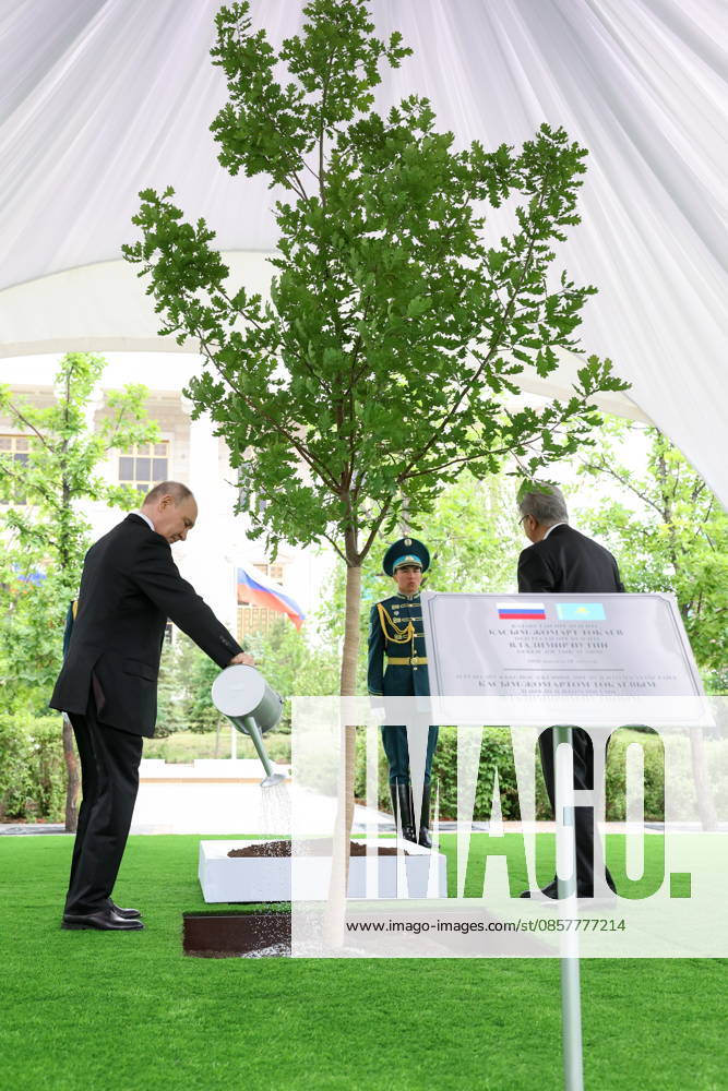 KAZAKHSTAN, ASTANA - MAY 28, 2026: Russia s President Vladimir Putin (L) and Kazakhstan s President Kassym-Jomart Tokayev take part in a tree-planting ceremony on the Alley of Eternal Friendship between Russia and Kazakhstan. Alexander Kazakov Russian Presidential Press and Information Office TASS 93130573