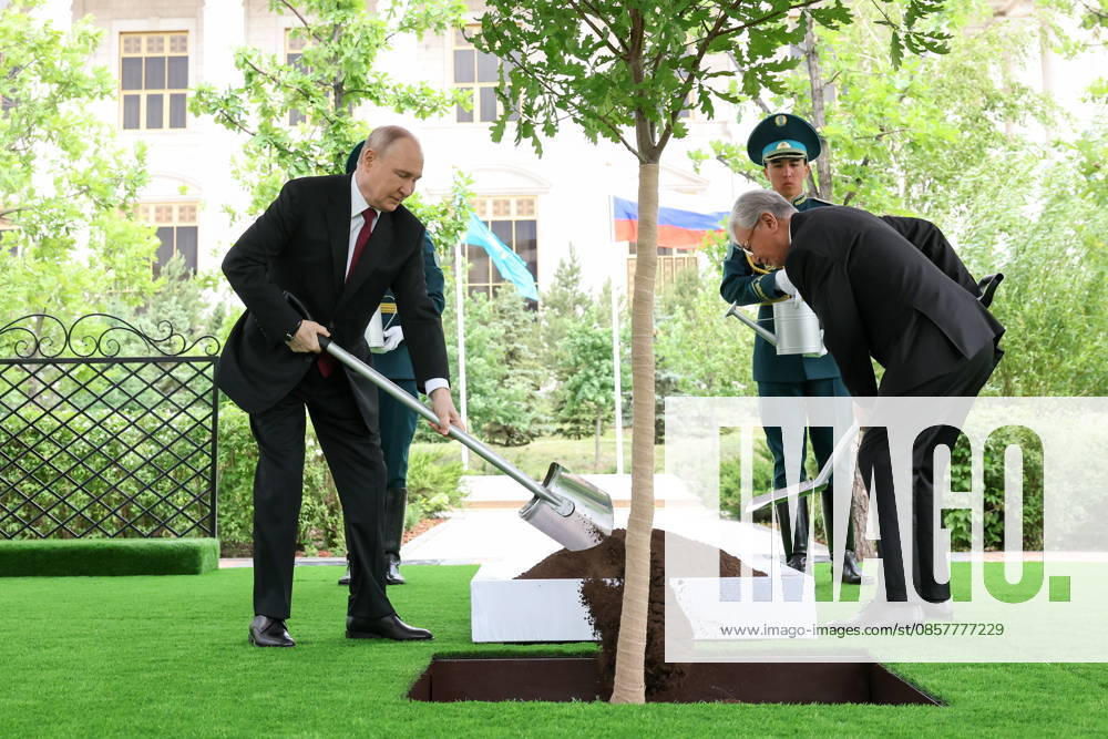 KAZAKHSTAN, ASTANA - MAY 28, 2026: Russia s President Vladimir Putin (L) and Kazakhstan s President Kassym-Jomart Tokayev take part in a tree-planting ceremony on the Alley of Eternal Friendship between Russia and Kazakhstan. Alexander Kazakov Russian Presidential Press and Information Office TASS 93130607