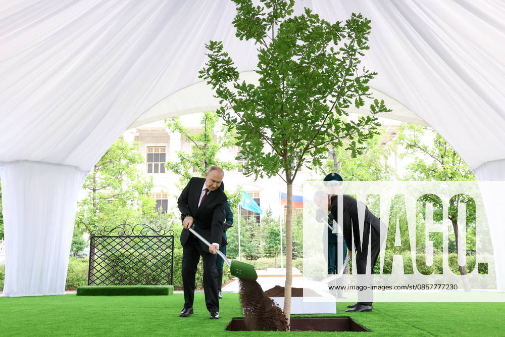 KAZAKHSTAN, ASTANA - MAY 28, 2026: Russia s President Vladimir Putin (L) and Kazakhstan s President Kassym-Jomart Tokayev take part in a tree-planting ceremony on the Alley of Eternal Friendship between Russia and Kazakhstan. Alexander Kazakov Russian Presidential Press and Information Office TASS 93130610