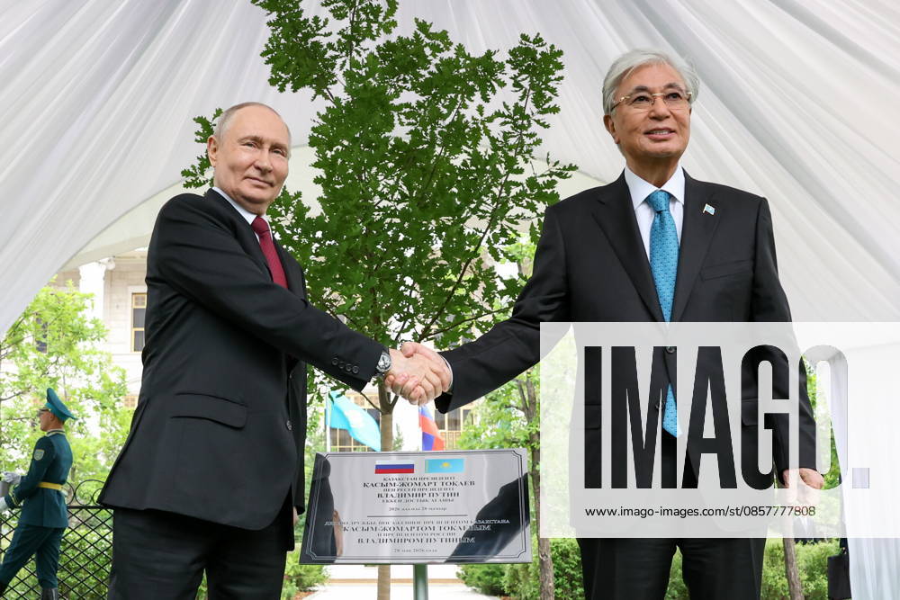 KAZAKHSTAN, ASTANA - MAY 28, 2026: Russia s President Vladimir Putin (L) and Kazakhstan s President Kassym-Jomart Tokayev shake hands during a tree-planting ceremony on the Alley of Eternal Friendship between Russia and Kazakhstan. Alexander Kazakov Russian Presidential Press and Information Office TASS 93130579