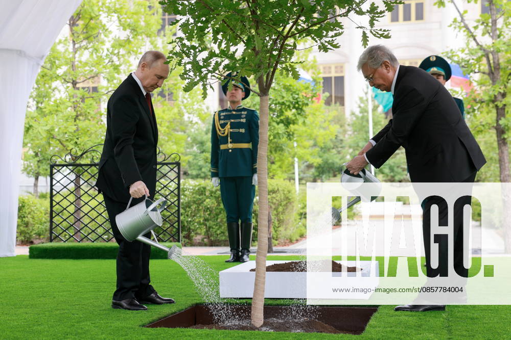 KAZAKHSTAN, ASTANA - MAY 28, 2026: Russia s President Vladimir Putin (L) and Kazakhstan s President Kassym-Jomart Tokayev take part in a tree-planting ceremony on the Alley of Eternal Friendship between Russia and Kazakhstan Astana Kazakhstan - ZUMAt113 20260528_zaa_t113_360