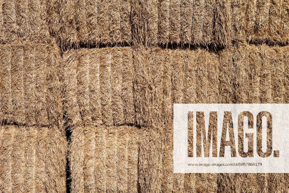 Bale of Haystack full frame