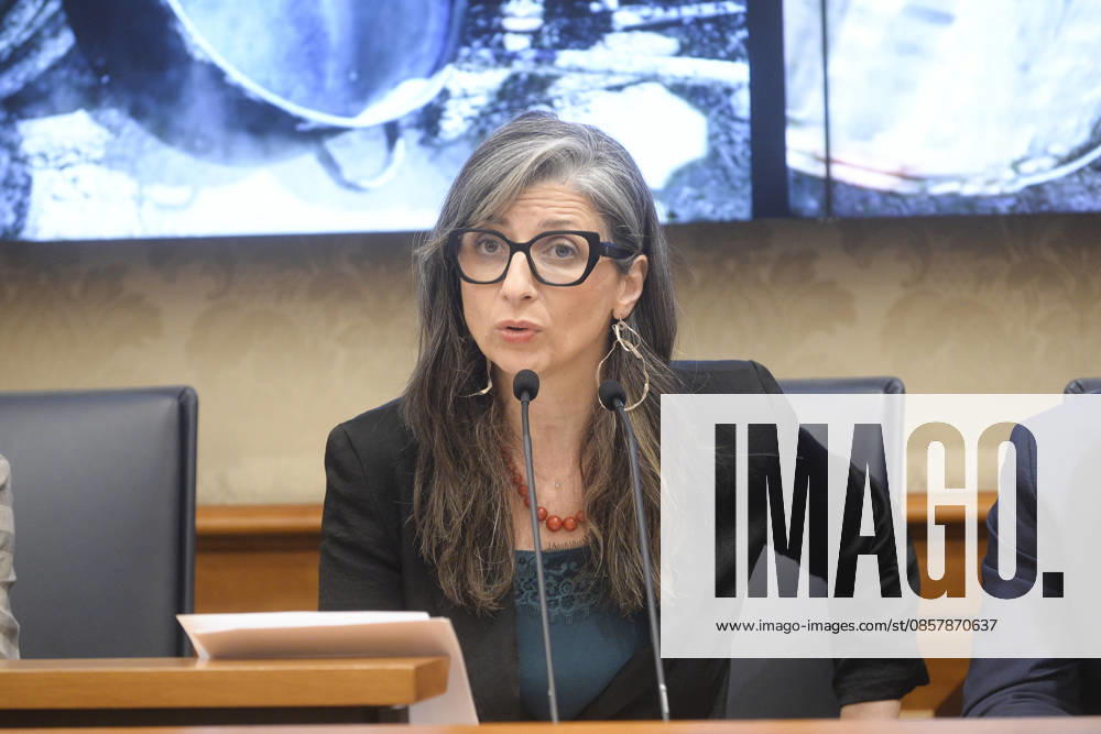 IPA85160360 - Rome Senate presentation of UN special rapporteur s report on the occupied Palestinian territories, pictured is Francesca Albanese