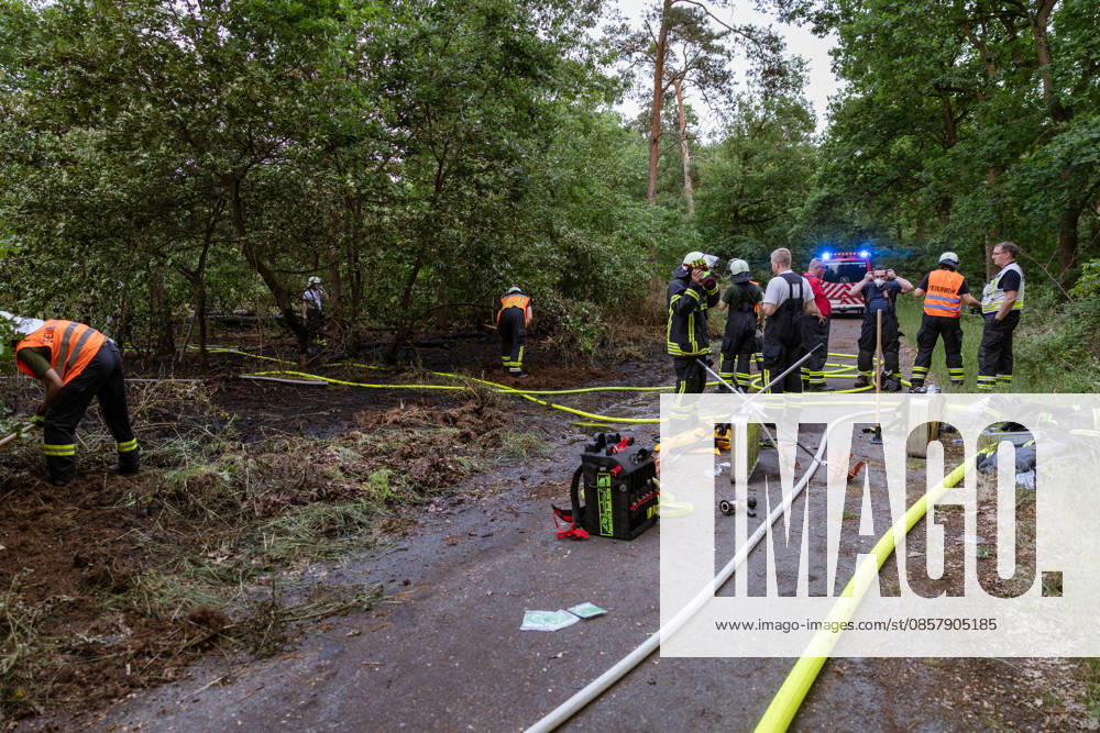 Forest fire near Weiterstadt On 29 05 2026, a forest fire broke out in Weiterstadt Gräfenhausen west of the A5 freeway It affected a forest area of around 900 square meters between the Gräfenhausen West servic