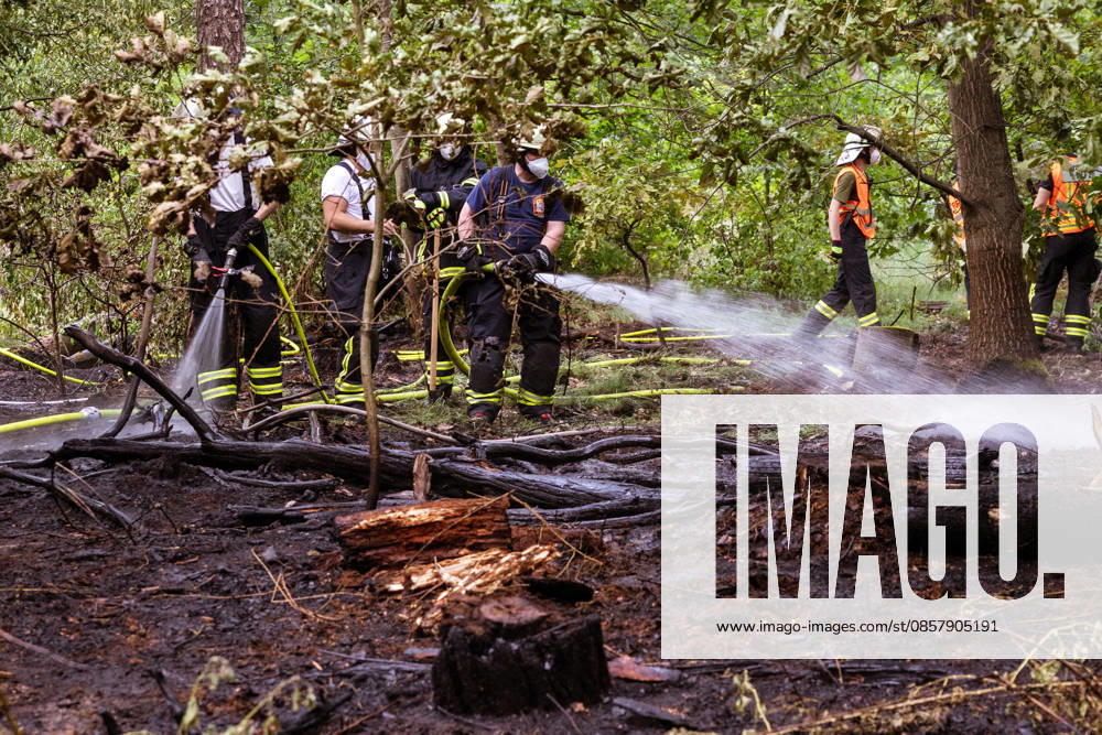 Forest fire near Weiterstadt On 29 05 2026, a forest fire broke out in Weiterstadt Gräfenhausen west of the A5 freeway It affected a forest area of around 900 square meters between the Gräfenhausen West servic