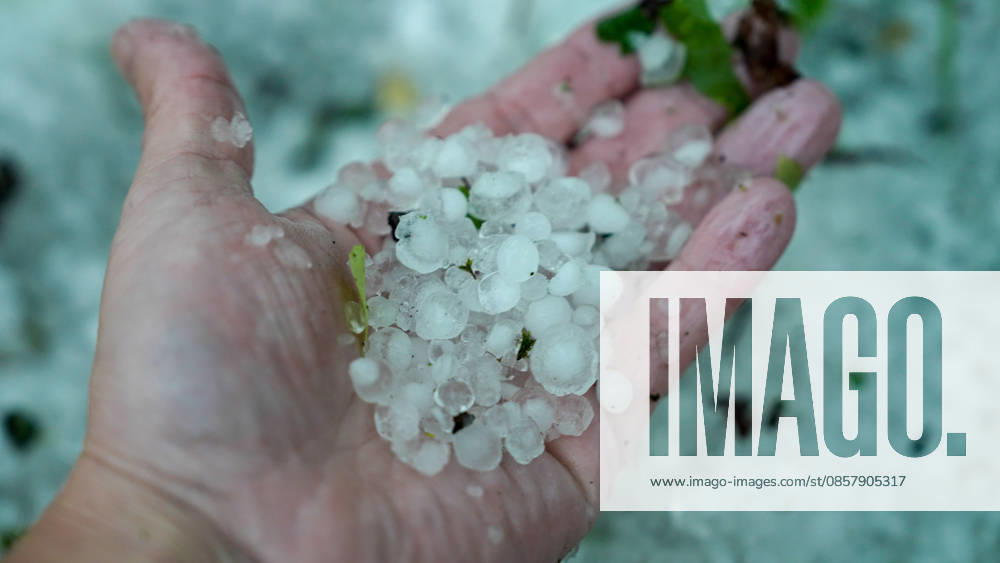Eine heftige Gewitterfront wütete am Abend in Rheine. Die Kreisstadt versank nach sinnflutartigen Regenfällen, Orkanböen und Hagel im Unwetterchaos. In der Stadt herrscht seit 19 Uhr Ausnahmezustand. Zahlreiche Bäume sind umgestürzt und legen den Verkehr lahm. Ampeln sind auf Grund von Blitzschlägen ausgefallen. Zahlreiche Straßenzüge stehen unter Wasser. Ein Autofahrer versank mit seinem Wagen auf der Bahnhofstraße in den Fluten. Einige Menschen und auch Kinder unterschätzten die Gefahr und wollten die Unterführung durchqueren. Die Polizei schritt ein. Autos mussten abgeschleppt werden, da sie einen Wasserschaden erlitten. Die Feuerwehr kommt aktuell nicht hinterher. Bis in den Samstag hinein müssen die Schäden beseitigt werde