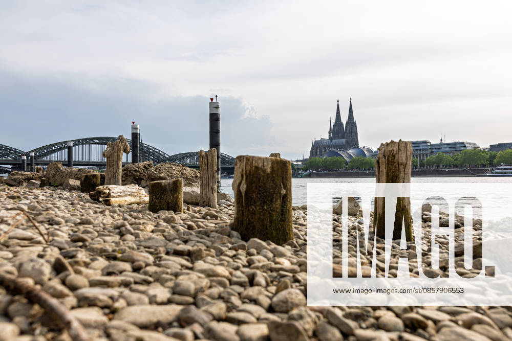 Low water in Cologne 29 05 2026 Low water on the Rhine in Cologne Deutz At a Rhine level of 148 cm at the Cologne gauge, gravel areas and old wooden piles are exposed on the right bank of the Rhine The wooden piles become visible at low water their exact historical classification is not clear Cologne Cathedral and the