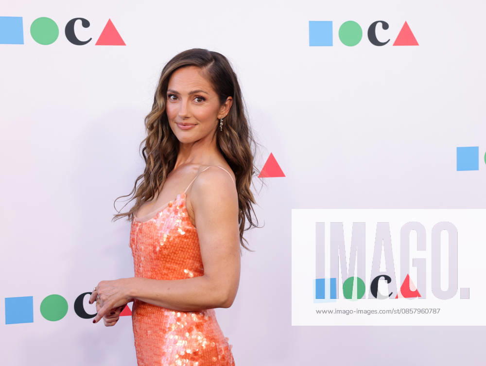 Minka Kelly attends the MOCA Gala 2026 at The Geffen Contemporary at MOCA in Los Angeles, CA on Saturday, May 30, 2026. LAP20260530436 GregxGrudt