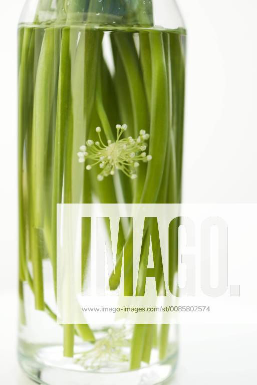 Garlic flowers, used as cooking ingredient