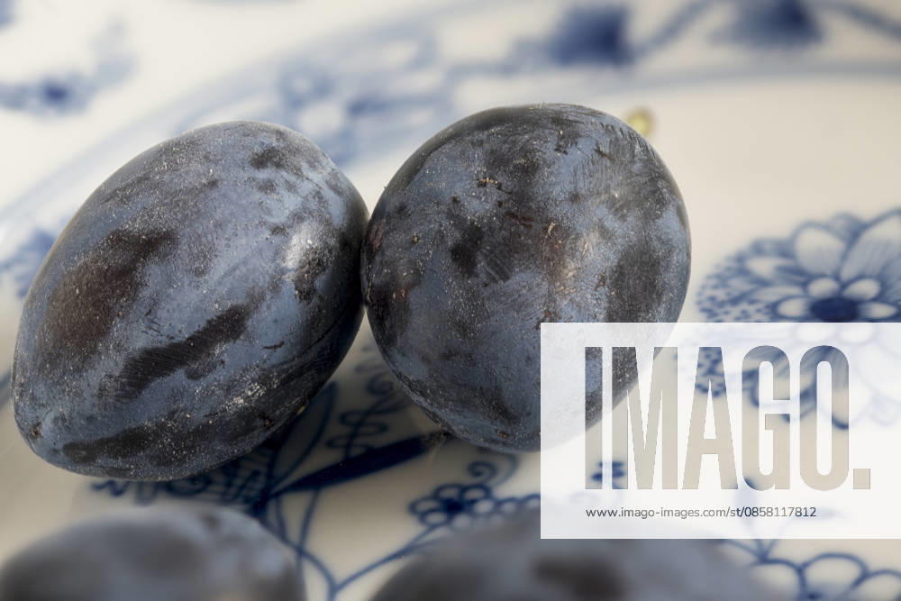 IMAGO Creative, Jahreszeit Sommer, Food, Pflaume zwetschgen,zwetsche,zwetschen,zwetschge,zwetschke,zwetschken ** plum,plums 2yo-htc