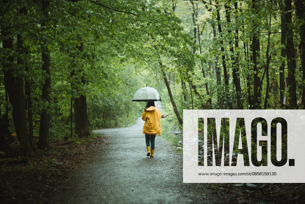Wald,spaziergang,regenwetter,wälder,spazieren,spazierengehen,spaziergänger,spaziergängerin,spaziergängerinnen,regen,regnen,regnerisch,schlechtes wetter,verregnet ** forest,walk,rain weather,forests,wood,woodland,woods,walks,rain weathers,rainy 539-stw ,model released, Symbolfoto