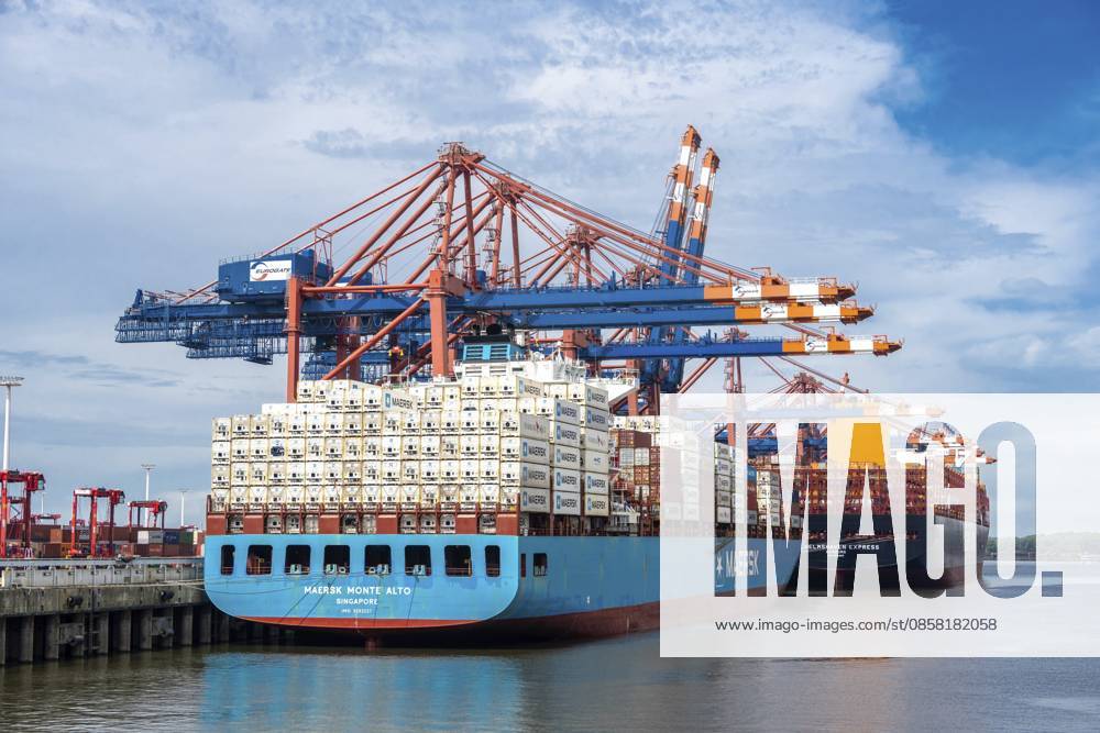 Großcontainerschiffe Maersk Monte Alto und Wilhelmshaven Express an den Liegeplätzen des Eurogate Containerterminals in Hamburg-Waltershof während der Abfertigung unter blau-roten Containerbrücken, Hamburg, Deutschland Large container ships Maersk Monte Alto and Wilhelmshaven Express at the berths of the Eurogate container terminal in Hamburg-Waltershof during handling under blue-red container bridges, Hamburg, Germany