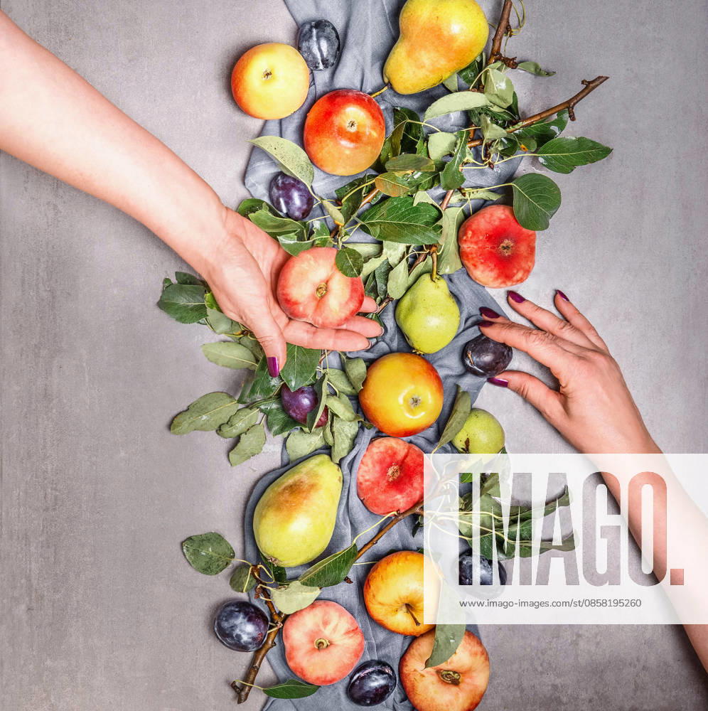 IMAGO Creative, Jahreszeit Sommer, Food, Pflaume gesunde ernährung,obst,bewusste ernährung,ernährung,frucht,früchte ** healthy diet,fruit,healthy,healthy food,low fat,fruits 61z-g4o