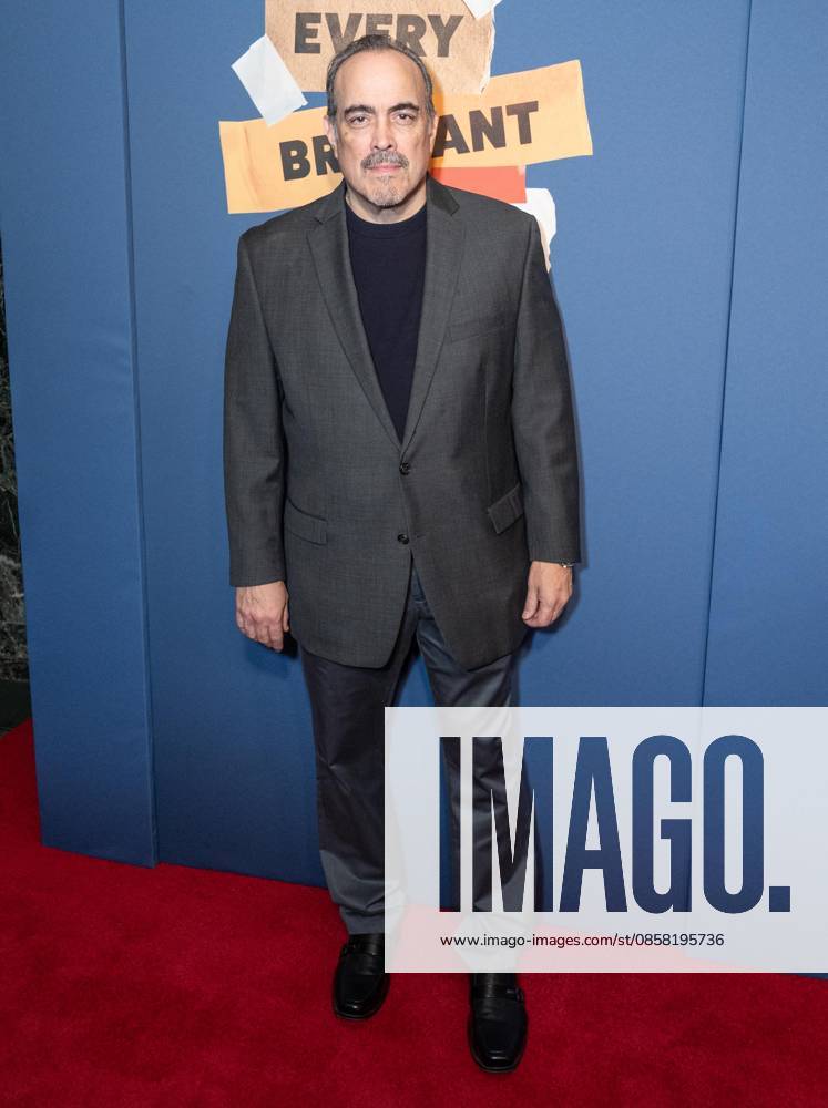 David Zayas attends opening night for Every Brilliant Thing with Mariska Hargitay making her Broadway debut at The Hudson Theatre in New York, NY on June 2, 2026. New York USA - ZUMAr339 20260602_znp_r339_003