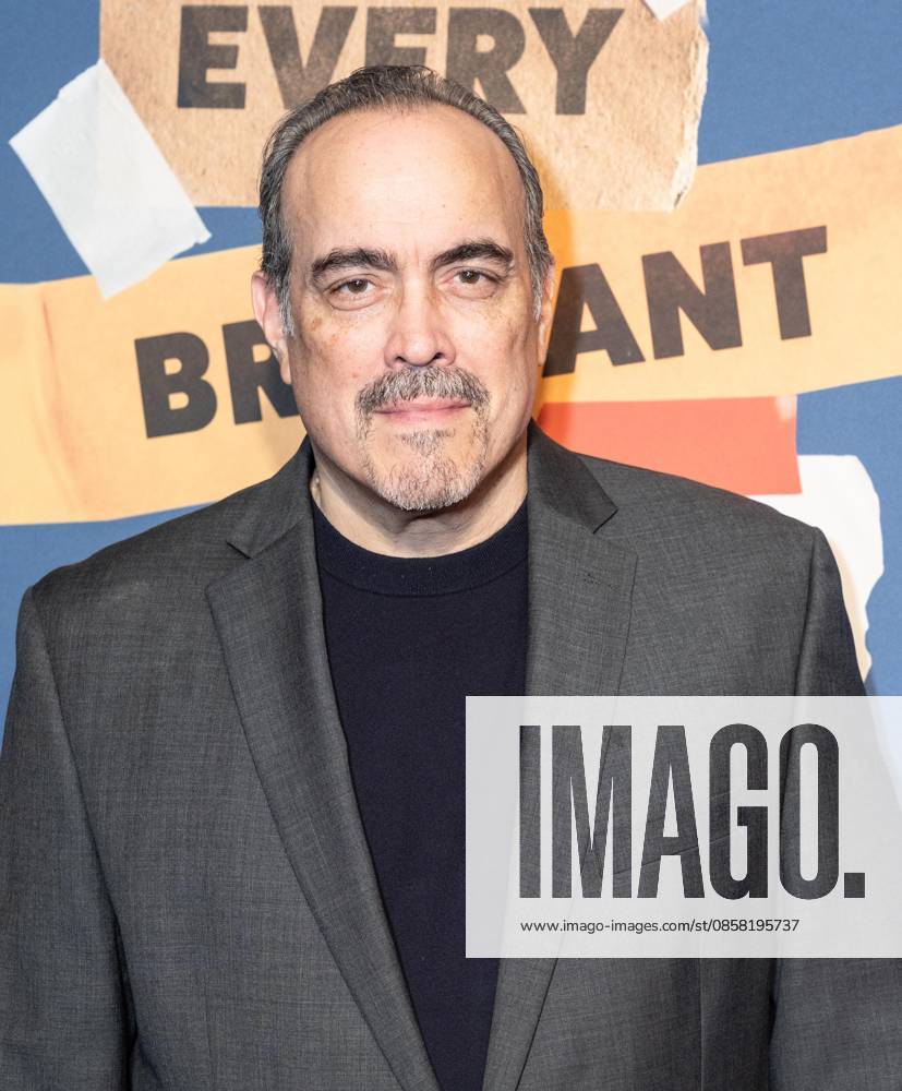 David Zayas attends opening night for Every Brilliant Thing with Mariska Hargitay making her Broadway debut at The Hudson Theatre in New York, NY on June 2, 2026. New York USA - ZUMAr339 20260602_znp_r339_004