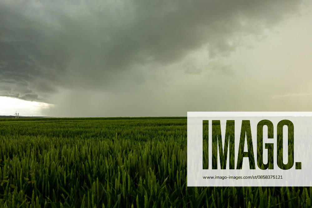 Thunderstorms move across Germany On 4 June 2026, several thunderstorms and storms moved across large parts of Germany One of the focal points was in North Rhine-Westphalia Strong wind shear caused several suspected tornadoes The thunderstorms were accompanied by heavy rain, squalls