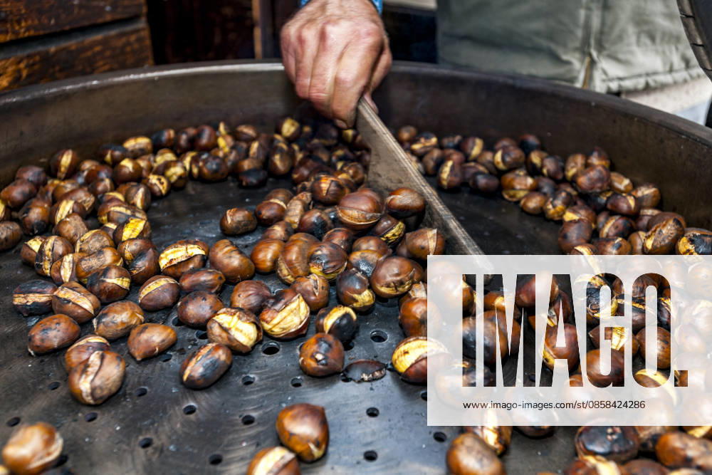 Roasting chestnut at a street market in Bellinzona Ticino, Lugano Tessin Schweiz Lugano EGBF01841