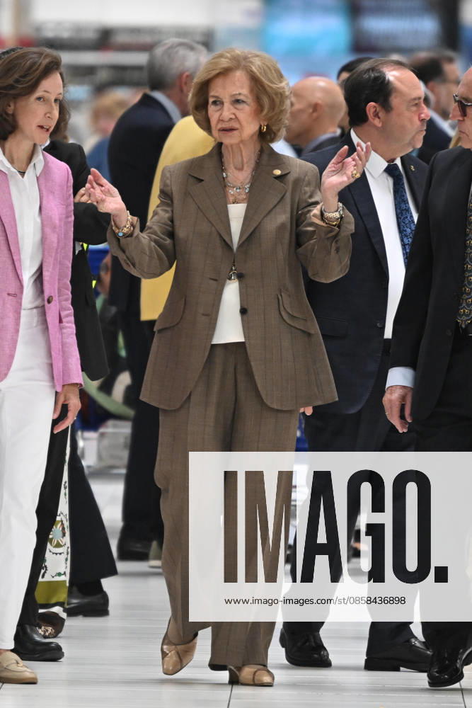 Queen Sofia visits one of the donation points on the occasion of the beginning of the Spring Collection of the Spanish Federation of Food Banks Queen Sofia visits one of the donation points on the occasion of the beginning of the Spring Collection of the Spanish Federation of Food Banks, on June 5, 2026, in Madrid Spain REINA SOFIA SOLIDARITY FOOD BANK JUNE 5, 2026 José Madrid Madrid Madrid Spain