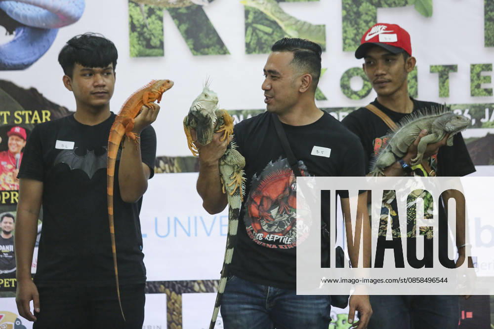 Iguana enthusiasts take part in reptile contest in Bogor BOGOR, INDONESIA - JUNE 6: Iguana enthusiasts participate in the Reptile Contest in Bogor, West Java, Indonesia, on June 6, 2026. The competition evaluated reptiles based on health, body proportions, color quality, and skin condition. Agoes Rudianto Anadolu Bogor Indonesia. Editorial use only. Please get in touch for any other usage.