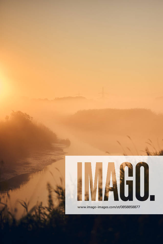 Goldener Sonnenaufgang über einer nebligen Flusslandschaft Soft morning light fills a foggy river valley with calm water, silhouetted reeds, distant trees, and gentle hills under a warm orange sky (License=RF)