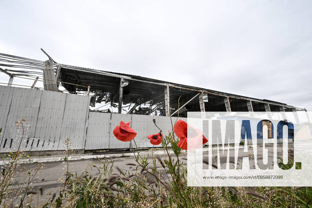 Red poppies bloom in front of the Favoryt Arena ice sports palace, destroyed in a Russian guided aerial bomb (KAB) strike, in the frontline city of Kherson, Ukraine, on June 3, 2026. The Russian army attacks the city daily with FPV drones and other unmanned aerial vehicles, deliberately terrorizing civilians. Russian forces conduct hunts for local residents, tracking them with FPV drones and dropping explosives. Police officers, medics, public transport, and urban infrastructure are also targeted (Photo by Dmytro Smolienko Ukrinform) Life under shelling in frontline Kherson