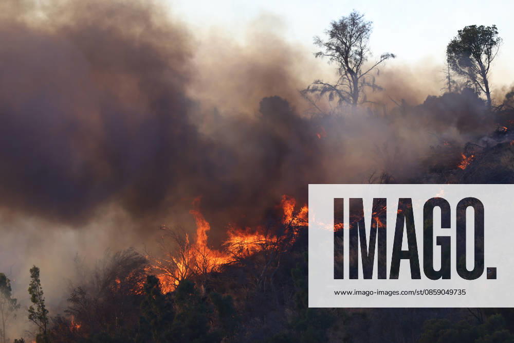 Firefighters response to wildfires in two regions in southern Italy SICILY, ITALY - JUNE 13: Large fire has broken out in Montagna Grande, a town in Salemi, near Trapani in Sicily, Italy on June 13, 2026. Two Canadair aircraft and three helicopters take part in an extinguishing work. Alberto Lo Bianco Anadolu Sicily Italy. Editorial use only. Please get in touch for any other usage.