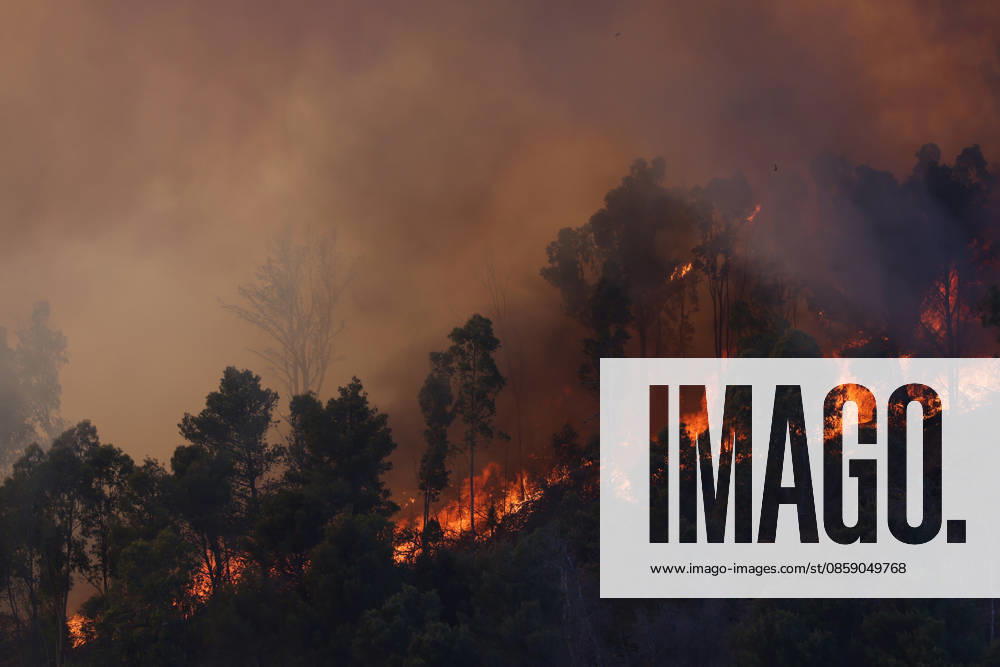 Firefighters response to wildfires in two regions in southern Italy SICILY, ITALY - JUNE 13: Large fire has broken out in Montagna Grande, a town in Salemi, near Trapani in Sicily, Italy on June 13, 2026. Two Canadair aircraft and three helicopters take part in an extinguishing work. Alberto Lo Bianco Anadolu Sicily Italy. Editorial use only. Please get in touch for any other usage.