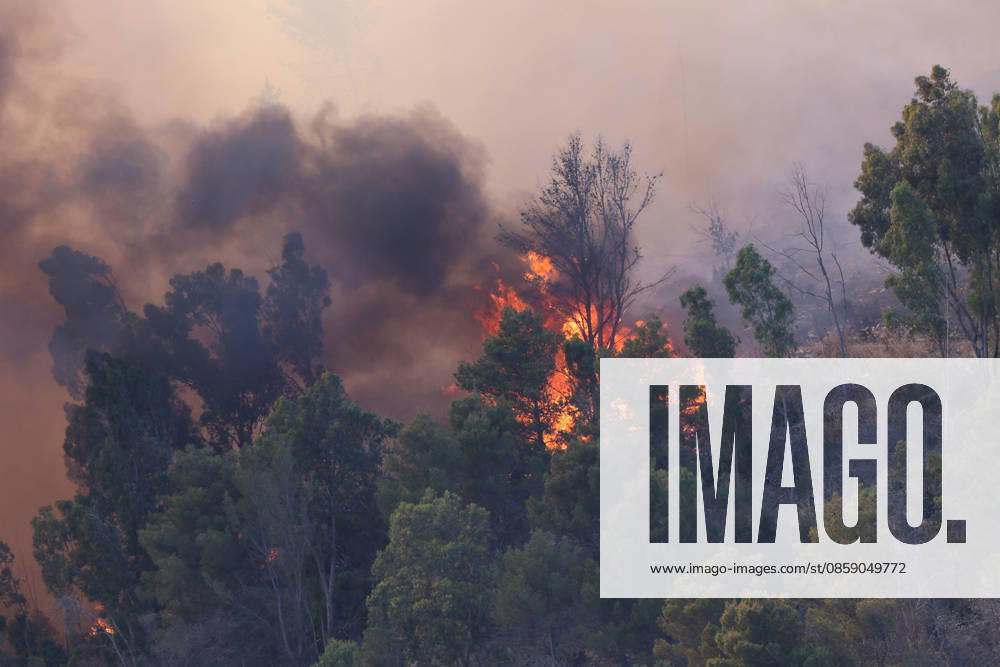 Firefighters response to wildfires in two regions in southern Italy SICILY, ITALY - JUNE 13: Large fire has broken out in Montagna Grande, a town in Salemi, near Trapani in Sicily, Italy on June 13, 2026. Two Canadair aircraft and three helicopters take part in an extinguishing work. Alberto Lo Bianco Anadolu Sicily Italy. Editorial use only. Please get in touch for any other usage.