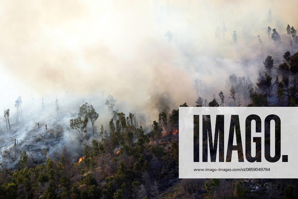 Firefighters response to wildfires in two regions in southern Italy SICILY, ITALY - JUNE 13: Large fire has broken out in Montagna Grande, a town in Salemi, near Trapani in Sicily, Italy on June 13, 2026. Two Canadair aircraft and three helicopters take part in an extinguishing work. Alberto Lo Bianco Anadolu Sicily Italy. Editorial use only. Please get in touch for any other usage.