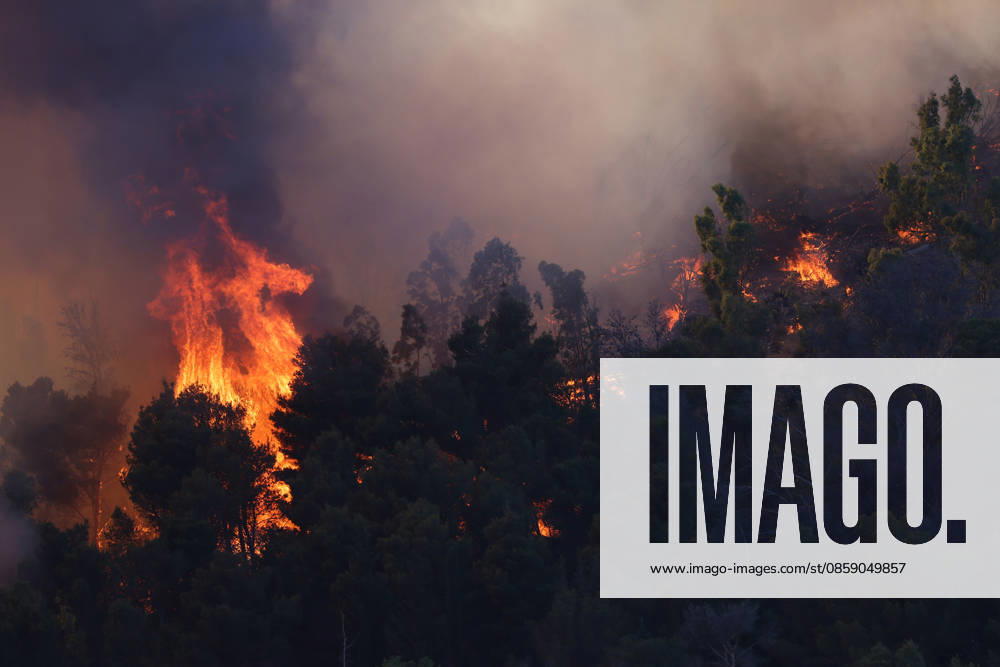 Firefighters response to wildfires in two regions in southern Italy SICILY, ITALY - JUNE 13: Large fire has broken out in Montagna Grande, a town in Salemi, near Trapani in Sicily, Italy on June 13, 2026. Two Canadair aircraft and three helicopters take part in an extinguishing work. Alberto Lo Bianco Anadolu Sicily Italy. Editorial use only. Please get in touch for any other usage.