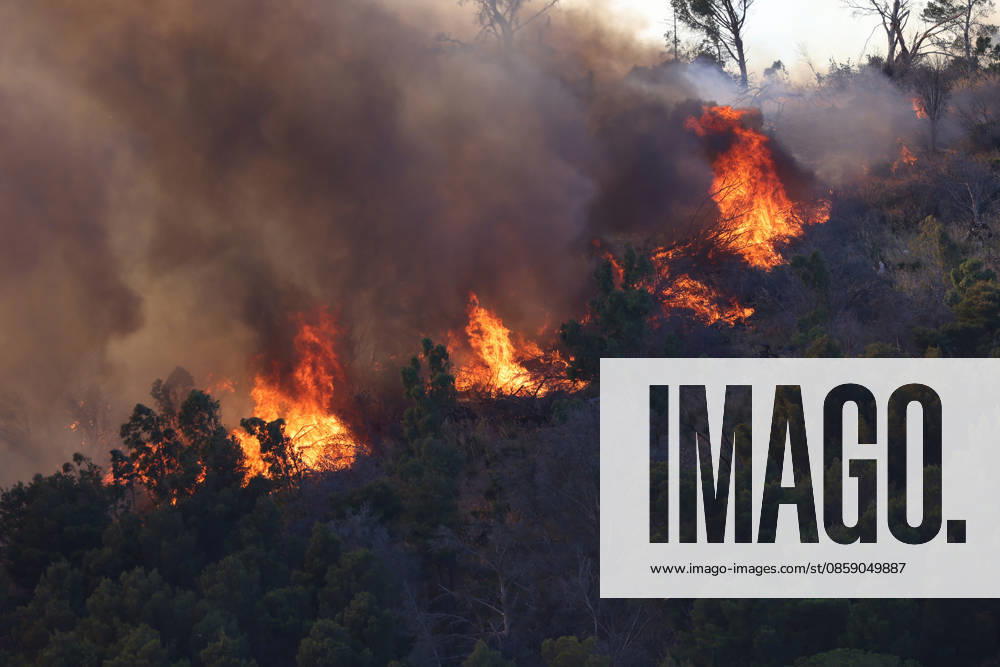 Firefighters response to wildfires in two regions in southern Italy SICILY, ITALY - JUNE 13: Large fire has broken out in Montagna Grande, a town in Salemi, near Trapani in Sicily, Italy on June 13, 2026. Two Canadair aircraft and three helicopters take part in an extinguishing work. Alberto Lo Bianco Anadolu Sicily Italy. Editorial use only. Please get in touch for any other usage.