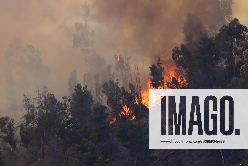 Firefighters response to wildfires in two regions in southern Italy SICILY, ITALY - JUNE 13: Large fire has broken out in Montagna Grande, a town in Salemi, near Trapani in Sicily, Italy on June 13, 2026. Two Canadair aircraft and three helicopters take part in an extinguishing work. Alberto Lo Bianco Anadolu Sicily Italy. Editorial use only. Please get in touch for any other usage.