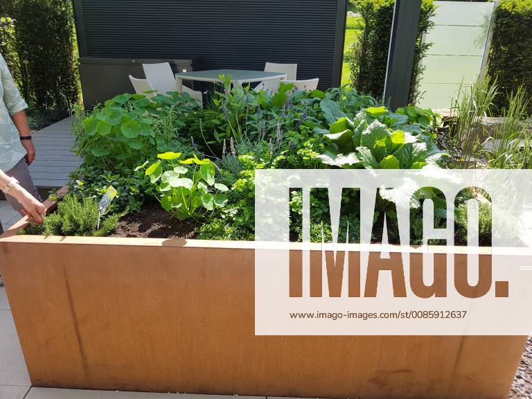 Raised bed of herbs Vegetables raised bed Herbs Vegetables