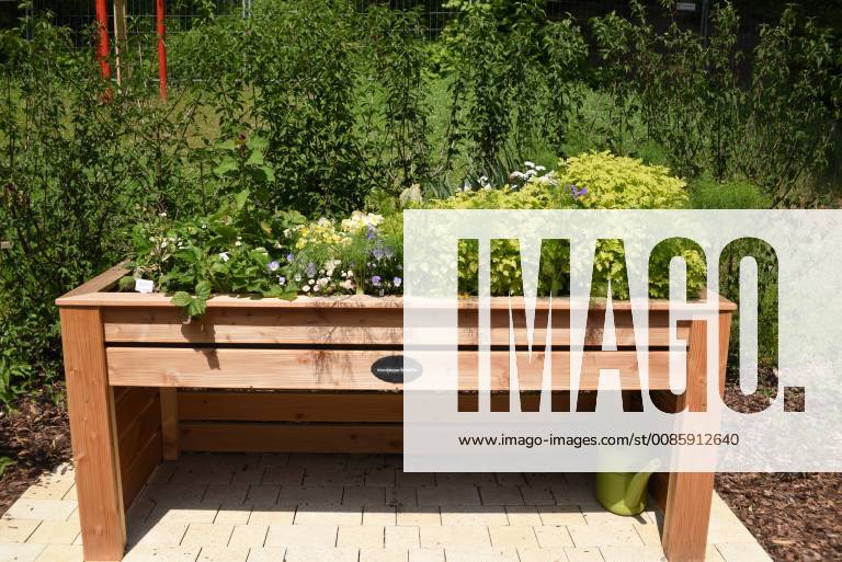 Raised bed of herbs Vegetables raised bed Herbs Vegetables